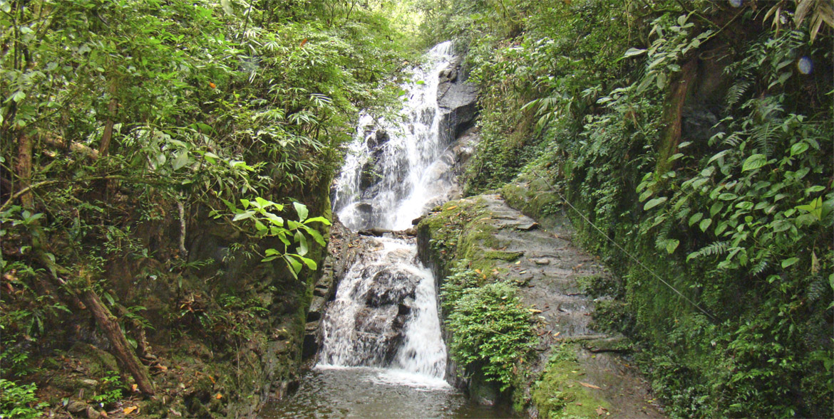 Parque Ecolgico Cachoeiras do Santurio - Vale da Santa Clara